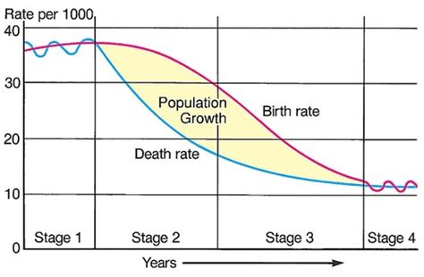 Unit 3 Lessons 3 8 And 3 9 Demographic Transition Model Flashcards