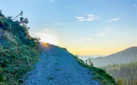 high road   lot  traffic star oracles