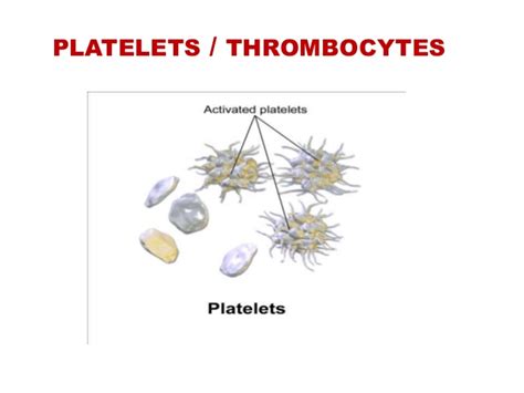 platelets normal range