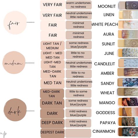 Seint Highlight Color Chart