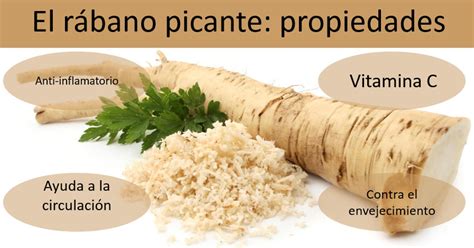 El Rábano Picante Propiedades Beneficiosas Nutricional Y