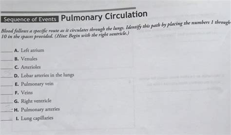 Solved Sequence Of Events Pulmonary Circulation A Follows A