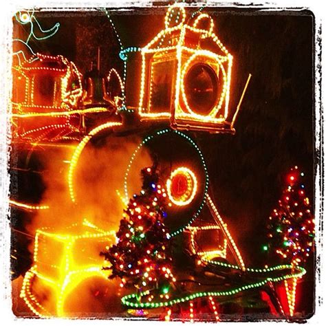 http://www.oregonzoo.org/visit/zoolights | Zoo lights, Oregon girl ...