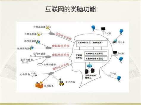 科学网—中国脑计划颠覆性创新之路，互联网大脑计划向30位院士进行报告 刘锋的博文