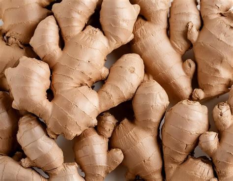 Texture Of Fresh Ginger Roots As Background Isolated On White