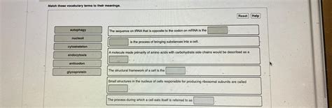 Solved Match These Vocabulary Terms To Their Chegg