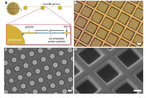 Figure From Ultrastable Gold Substrates Properties Of A Support For