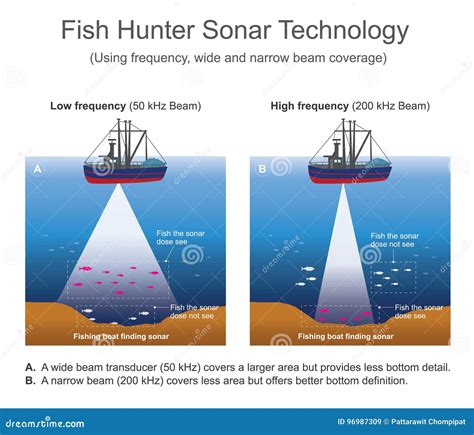 Echo Sonar Waves Sound Cycle Pulse Circular Wave Pattern Radar Screen