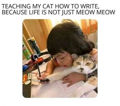 Meow🤭 : r/Funnymemes