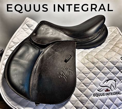 Voltaire Design - Palm Beach 17.5” – Equus Integral