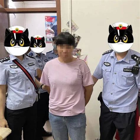 惊呆！韶关1名女子被抓获，牵出多起入室盗窃案！ 丘某 嫌疑人 案件