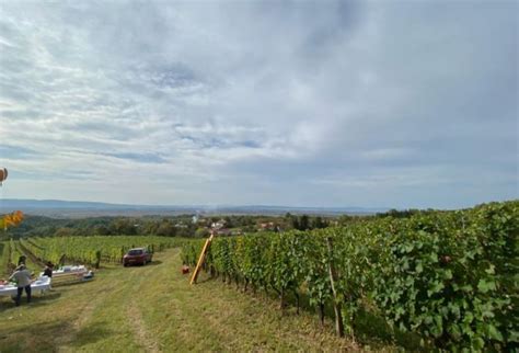 Sud oduzeo vinograd Jugoslaviji na oglasnoj tabli okačio obavještenje