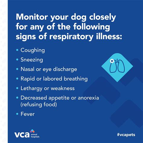 VCA TLC Pasadena Veterinary Specialty and Emergency | South Pasadena CA