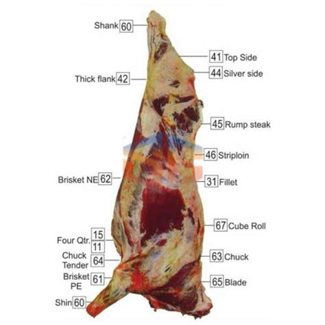 beef meat guide seasons catch