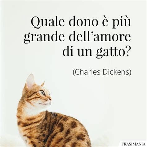 Quale Dono Pi Grande Dellamore Di Un Gatto Frasi Gatto Amore