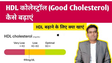 How To Raise Hdl Cholesterol Good Hdl कोलेस्ट्रॉल को कैसे बढ़ाएं