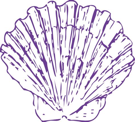 Purple Sea Shell Clip Art At Vector Clip Art Online