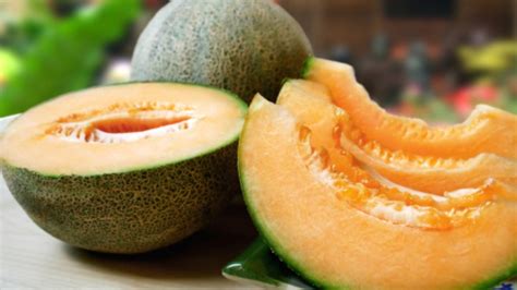 types  melons explained