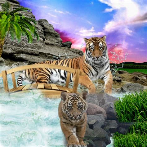 It SMichelle S Wildlife Frames 2016 July Beautiful Tigers Horror02