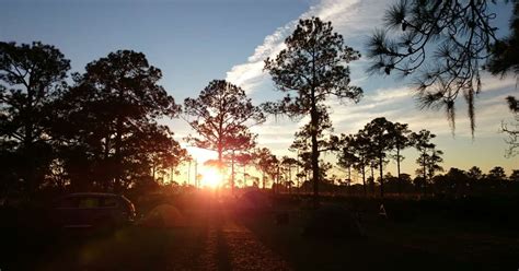 Highlands Hammock Campground, Highlands Hammock, FL: 1 Hipcamper Review ...