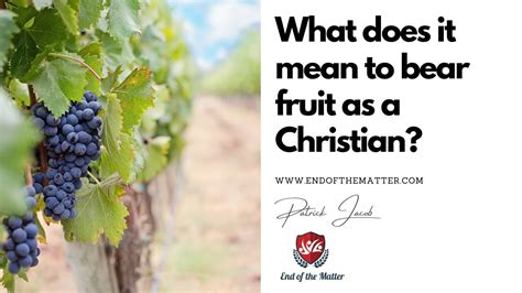 What Does It Mean To Bear Fruit As A Christian Patrick Jacob