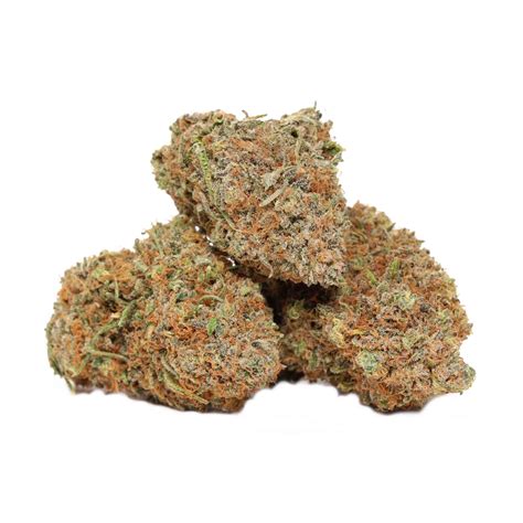 Gas Grape | Bulk Buddy Wholesale | Buy Weed Online Canada