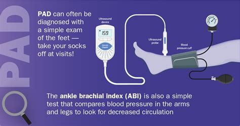 Twelve Things You Should Know About Peripheral Artery Disease