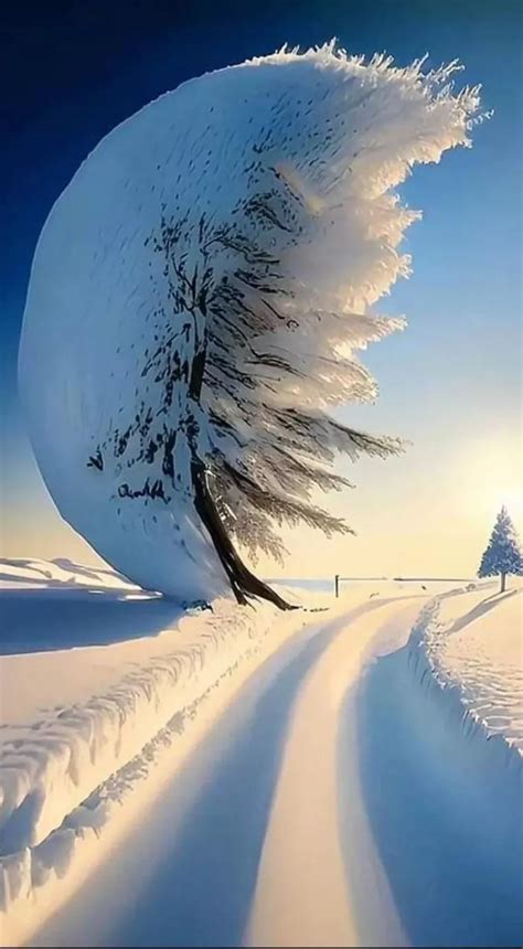 Winter Imgur Beautiful World Beautiful Landscapes Beautiful Places Winter Landscape