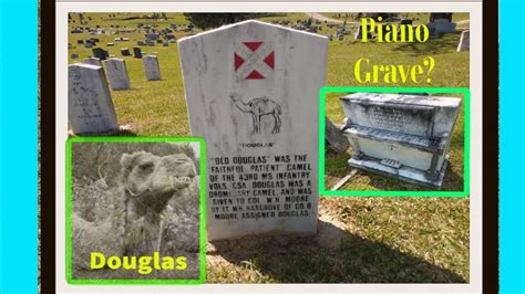 The Confederate Camel Douglas The Camel Cedar Hill Cemetery