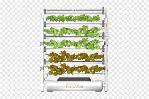 Hydroponics The International Consumer Electronics Show Farm Product