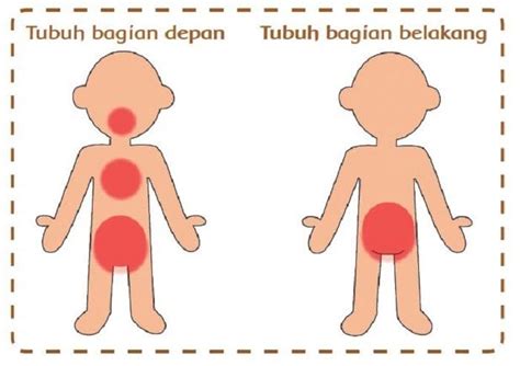 Kunci Jawaban Tema 1 Kelas 1 SD Halaman 57 Subtema 2 Mengenal Anggota