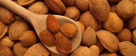 Виды орехов и полезные свойства. Сколько калорий в орехах