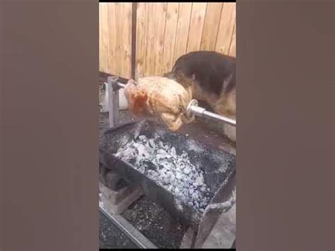 вертел для курицы из стиральной машинки и шуруповерта - YouTube