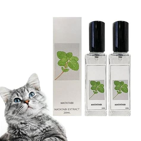 Catnip Spray, Catnip Spray for Cats, Herbal Cat Joy Spray, Catnip Spray ...