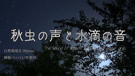 秋虫の声と水滴の音 コオロギスズムシ 秋の音で深く癒され穏やかに眠る 睡眠・リラックス・作業用 自然環境音90min Youtube