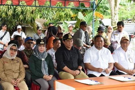 Kementerian Pertanian Alokasikan 81 Ribu Hektare Optimalisasi Lahan