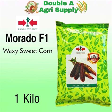 Morado F Waxy Sweet Corn East West Seed Shopee Philippines