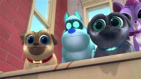 100 Puppy Dog Pals Wallpapers