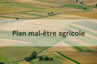 Agriculture point d étape sur la mise en oeuvre du plan pour la