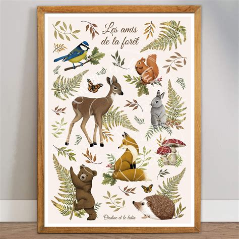 Affiche Animaux De La For T B B Et Enfant