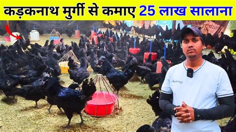 Beginners Guidestarting Your Own Kadaknath Chicken Farming Business