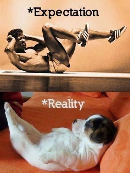 Funny Fitness Memes | Diet & Fitness