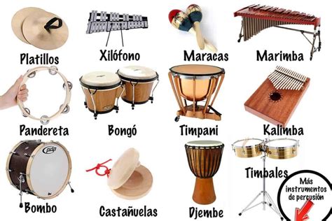 Instrumentos de Percusión MÁS de 10 Ejemplos Actualizados