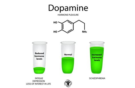 5 Signs of Dopamine Deficiency and Science-Backed Ways to Treat It ...