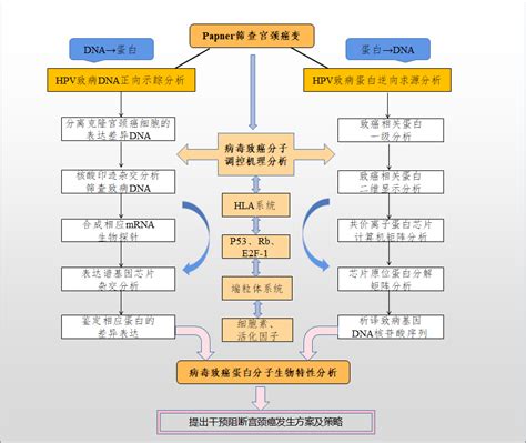 超实用可编辑ppt模板素材下载 23个技术路线图148页流程图模块图 企业动态 丁香通