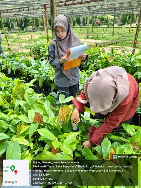 BPSBP Balai Pengawasan Dan Sertifikasi Benih Perkebunan