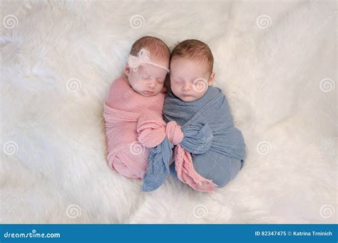 Fraternal Twin Baby Brother and Sister Stock Image - Image of caucasian ...