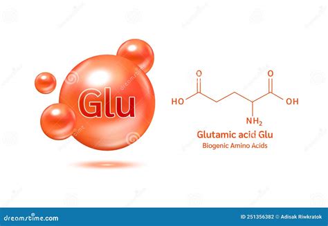 Important Amino Acid Glutamic Acid Glu And Structural Chemical Formula