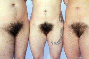 Three Hairy Wives Set 1 Kisa Harley Nikk Set 1 91 Porn Pic