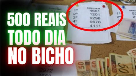 5 Reais No Jogo Do Bicho Ganha Quanto Na Cabeça - 500 REAIS TODO DIA NO JOGO DO BICHO - Palpites e Jogos - YouTube